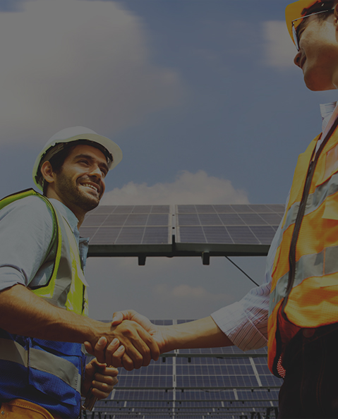 Premium Supplier Partnerships